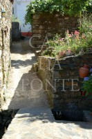 /album/a-aldeia/a970447-316612368474718-398865543-n-jpg/